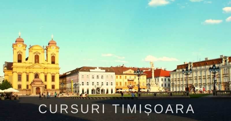 cursuri in timisoara